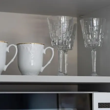 Apartament Stylish Studio Type In The City Center